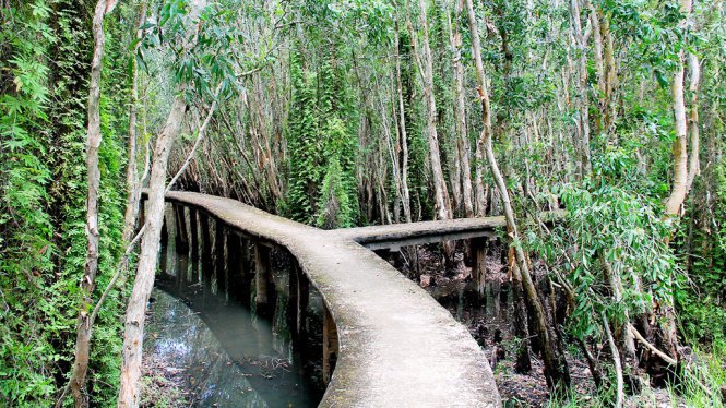 Dù có nhiều ngã rẽ trong rừng nhưng đừng sợ bị lạc đường – Ảnh: XUÂN LỘC Dù có nhiều ngã rẽ trong rừng nhưng đừng sợ bị lạc đường – Ảnh: XUÂN LỘC